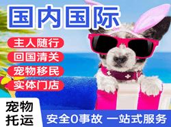 通辽机场快递国际宠物托运 【国
